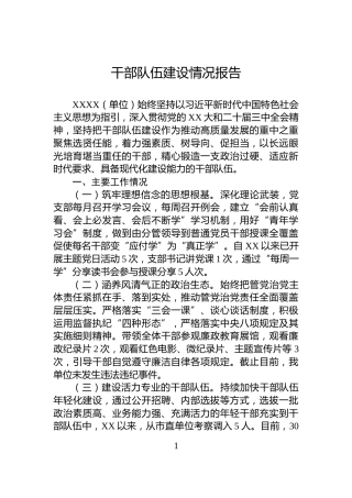 干部队伍建设情况报告