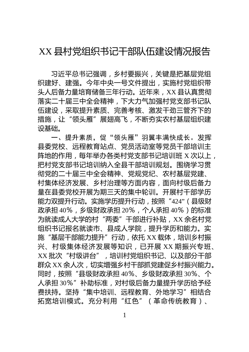 XX县村党组织书记干部队伍建设情况报告_第1页