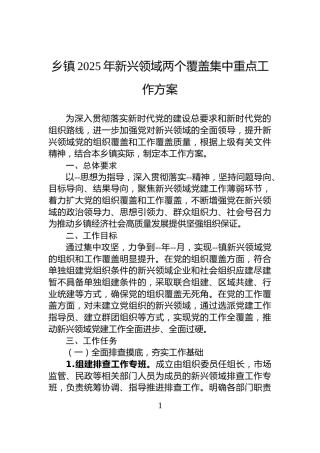 乡镇2025年新兴领域两个覆盖集中重点工作方案