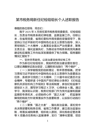 某市税务局新任纪检组组长个人述职报告