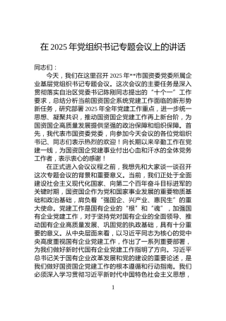 在2025年党组织书记专题会议上的讲话