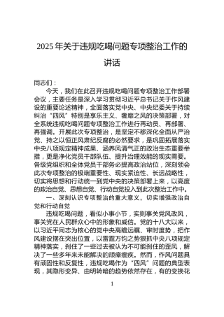 2025年关于违规吃喝问题专项整治工作的讲话