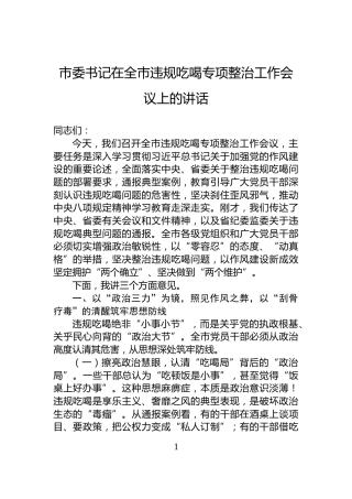 市委书记在全市违规吃喝专项整治工作会议上的讲话
