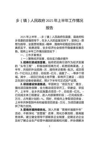 乡（镇）人民政府2025年上半年工作情况报告