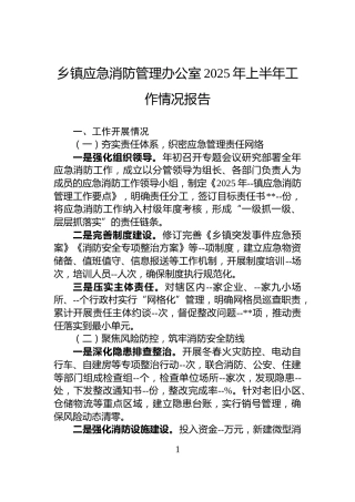 乡镇应急消防管理办公室2025年上半年工作情况报告