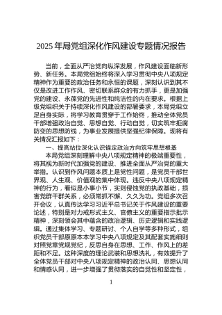 2025年局党组深化作风建设专题情况报告