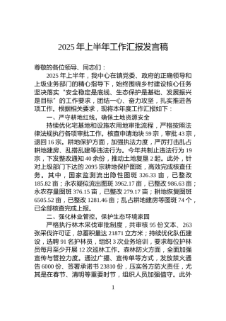 2025年上半年工作汇报发言稿