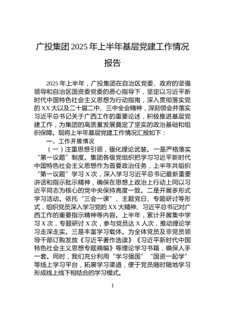 广投集团2025年上半年基层党建工作情况报告