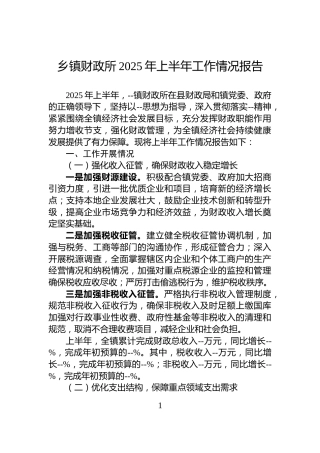 乡镇财政所2025年上半年工作情况报告