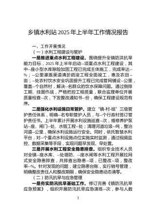 乡镇水利站2025年上半年工作情况报告