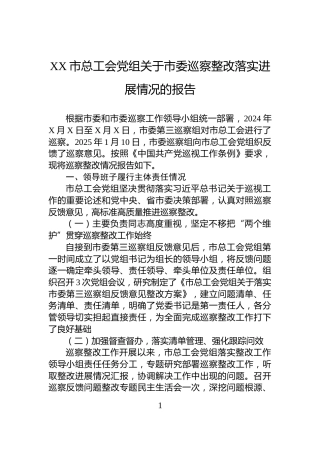 XX市总工会党组关于市委巡察整改落实进展情况的报告