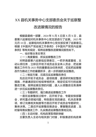 XX县机关事务中心支部委员会关于巡察整改进展情况的报告