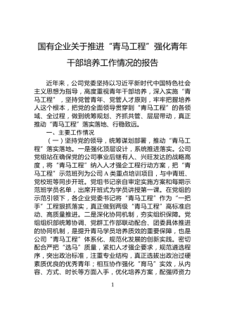国有企业关于推进“青马工程”强化青年干部培养工作情况的报告