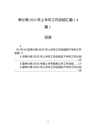 审计局2025年上半年工作总结汇编（4篇）