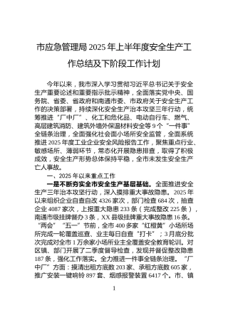 市应急管理局2025年上半年度安全生产工作总结及下阶段工作计划