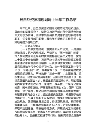 县自然资源和规划局上半年工作总结