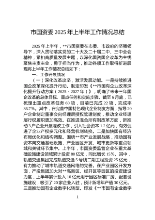 市国资委2025年上半年工作情况总结