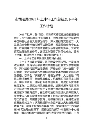 市司法局2025年上半年工作总结及下半年工作计划