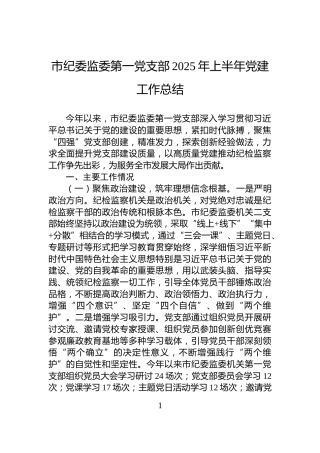 市纪委监委第一党支部2025年上半年党建工作总结