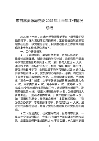 市自然资源局党委2025年上半年工作情况总结