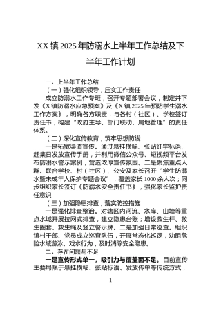 XX镇2025年防溺水上半年工作总结及下半年工作计划