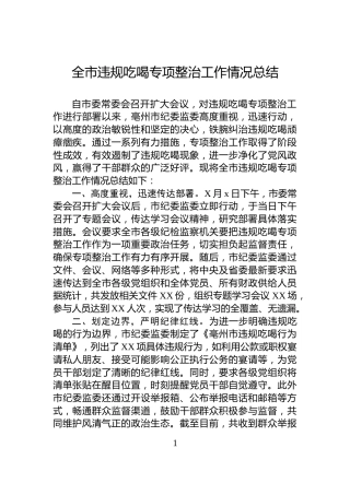 全市违规吃喝专项整治工作情况总结