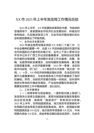 XX市2025年上半年发改局工作情况总结