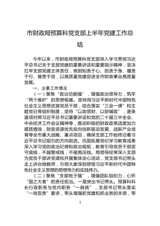 市财政局预算科党支部上半年党建工作总结