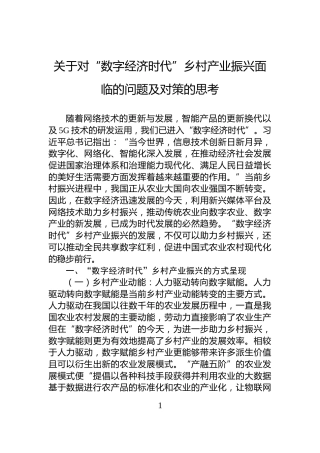 关于对“数字经济时代”乡村产业振兴面临的问题及对策的思考