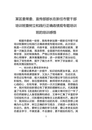 某区委常委、宣传部部长在新任市管干部培训班暨树立和践行正确政绩观专题培训班的培训感悟