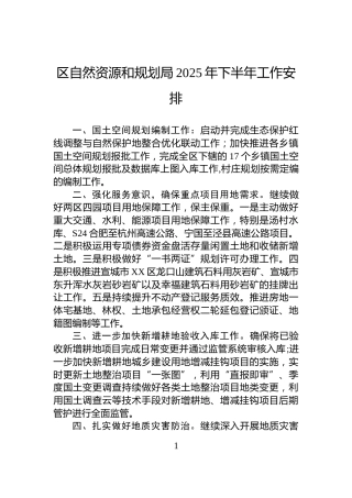 区自然资源和规划局2025年下半年工作安排