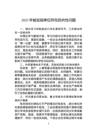 2025年被巡视单位存在的共性问题