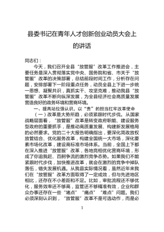 县委书记在青年人才创新创业动员大会上的讲话
