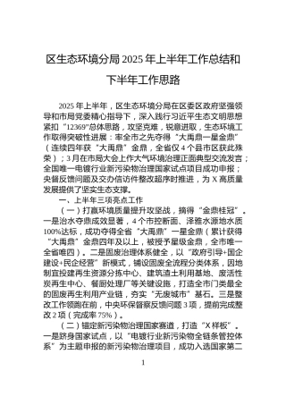 区生态环境分局2025年上半年工作总结和下半年工作思路