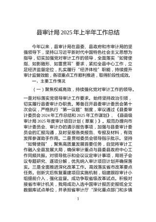 县审计局2025年上半年工作总结