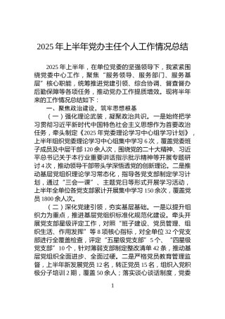 2025年上半年党办主任个人工作情况总结