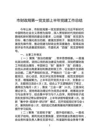 市财政局第一党支部上半年党建工作总结