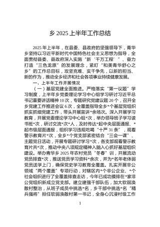乡2025上半年工作总结