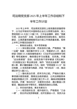 司法局党支部2025年上半年工作总结和下半年工作计划