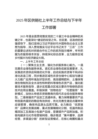 2025年区供销社上半年工作总结与下半年工作部署