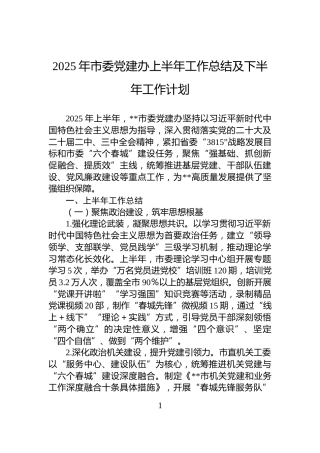 2025年市委党建办上半年工作总结及下半年工作计划