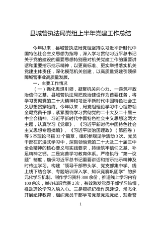 县城管执法局党组上半年党建工作总结