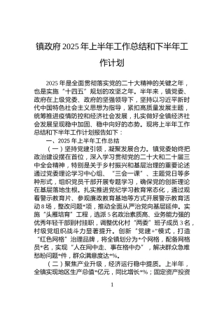 镇政府2025年上半年工作总结和下半年工作计划