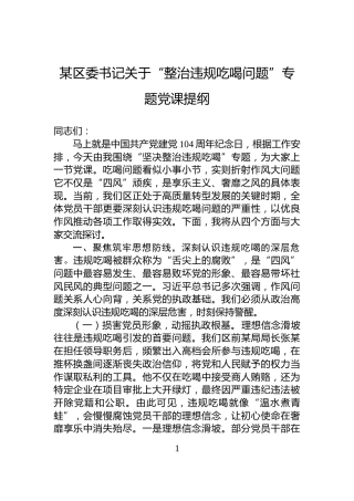 某区委书记关于“整治违规吃喝问题”专题党课提纲