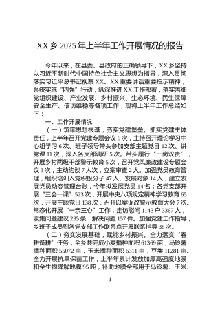 XX乡2025年上半年工作开展情况的报告