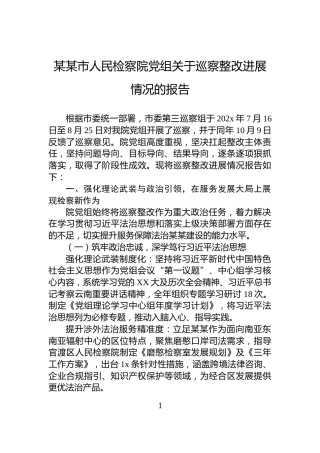 某某市人民检察院党组关于巡察整改进展情况的报告