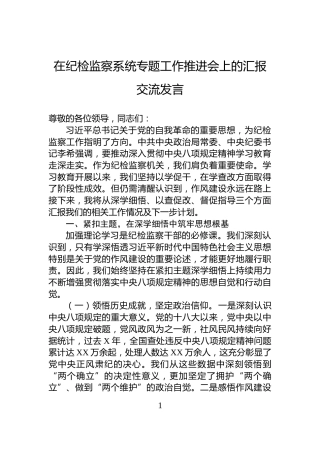 在纪检监察系统专题工作推进会上的汇报交流发言