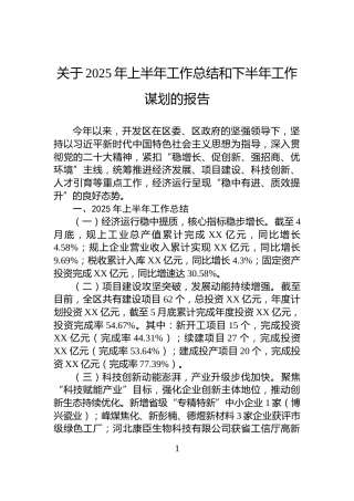 关于2025年上半年工作总结和下半年工作谋划的报告