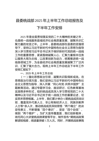 县委统战部2025年上半年工作总结报告及下半年工作安排