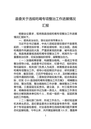 县委关于违规吃喝专项整治工作进展情况汇报